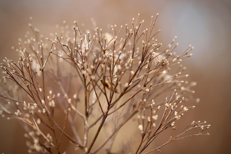Vertical Planting Inspiration